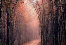 九游体育:阿尔巴尼亚-安道尔,马纳伊双响,阿斯拉尼、布罗亚献助攻.