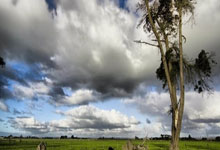 九游体育:每体:巴萨打算与埃里克-加西亚续约,弗里克对他评价很积极.