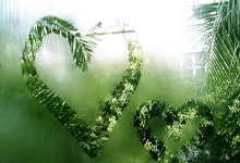 九游体育:谁能和曼联三圣并肩?安迪-科尔:我选罗伊-基恩,伟大的领袖.