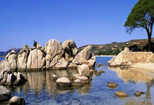 九游体育:中国台北代表队3月大名单:安以恩等多名中超、中甲球员在列.